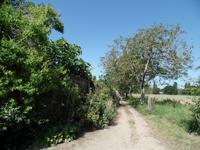 Wirtschaftsweg - Samares Manor