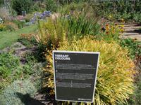 Farbige Sortierung des Beetes - Samares Manor