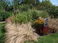 So sieht es in der Prärie aus - Samares Manor