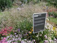 Ländliche Blüten - Samares Manor