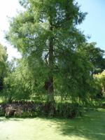 Samares Manor auf Jersey