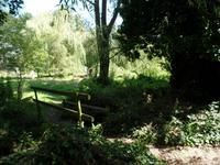 Dschungelweg - Samares Manor