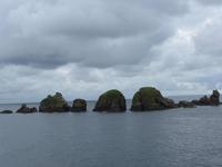 Felsen vor der Insel Sark