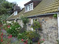 Vorgarten Haus in Sark