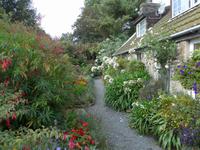 Vorgarten Haus in Sark