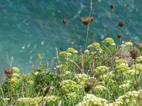 Blick in die Bucht am La Coupee