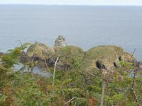 Blick in Richtung Hafen Sark