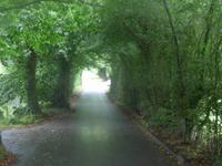 Kleine Nebenstraßen auf Jersey