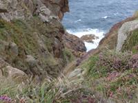 Blick auf Klippen von Grosnez Castle