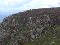 Klippen bei Gronsnez Castle - herrliche Heidelandschaft