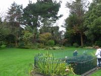 Privatgarten von Mr. Miles