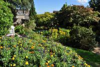 St Peter Port - Hauptstadt von Guernsey - Candle Gardens
