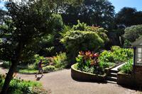 St Peter Port - Hauptstadt von Guernsey - Candle Gardens