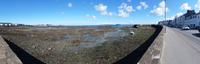 Guernsey - Ebbe - Low Tide