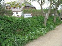 Besuch der Insel Sark