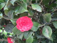 Besuch der Insel Sark