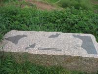 Inselrundfahrt auf Jersey