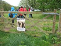 Inselrundfahrt auf Jersey