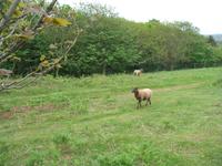 Inselrundfahrt auf Jersey