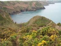 Inselrundfahrt auf Jersey