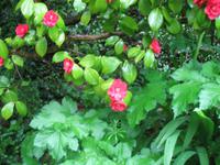 Wanderung von St. Aubin zum Leuchtturm 