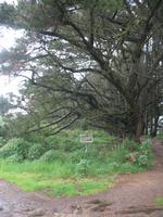 Wanderung von St. Aubin zum Leuchtturm 