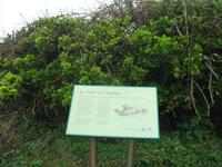 Wanderung von St. Aubin zum Leuchtturm 