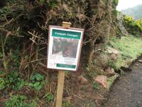 Wanderung vom Leuchtturm 