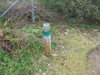 Wanderung vom Leuchtturm 