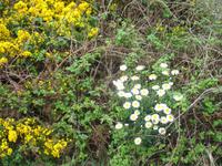 Wanderung vom Leuchtturm 