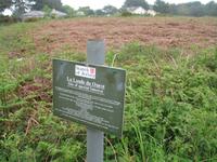 Wanderung vom Leuchtturm 