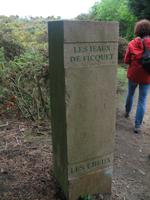 Wanderung vom Leuchtturm 