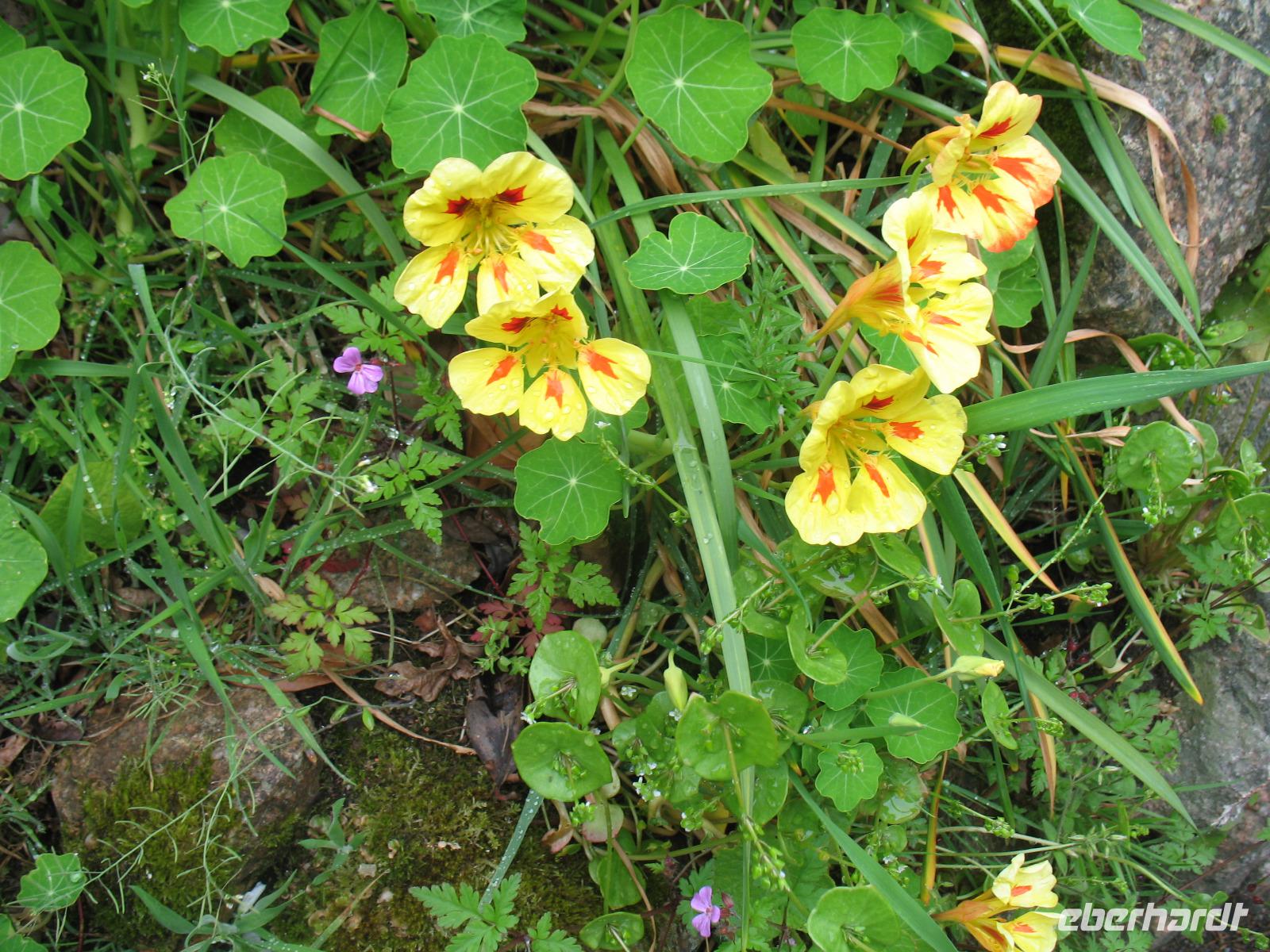 Wanderung vom Leuchtturm 