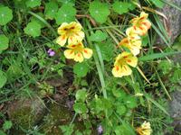 Wanderung vom Leuchtturm 