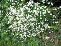 Wanderung vom Leuchtturm 