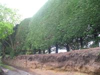 Wanderung vom Leuchtturm 