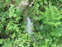 Wanderung von der Bonne Nuit Bay zur Bouley Bay