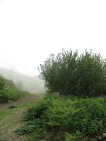 Wanderung von der Bonne Nuit Bay zur Bouley Bay