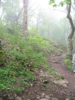 Wanderung von der Bonne Nuit Bay zur Bouley Bay