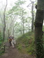 Wanderung von der Bonne Nuit Bay zur Bouley Bay