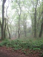 Wanderung von der Bonne Nuit Bay zur Bouley Bay