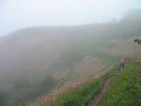 Wanderung von der Bonne Nuit Bay zur Bouley Bay