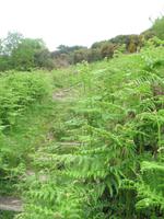 Wanderung von der Bonne Nuit Bay zur Bouley Bay