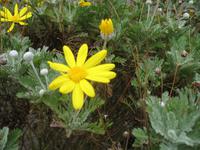 Wanderung von der Bouley Bay zur Rozel Bay