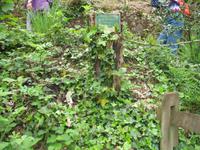 Wanderung von der Bouley Bay zur Rozel Bay