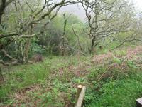 Wanderung von der Bouley Bay zur Rozel Bay
