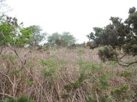 Wanderung von der Bouley Bay zur Rozel Bay