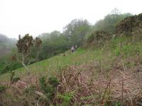 Wanderung von der Bouley Bay zur Rozel Bay