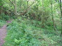 Wanderung von der Bouley Bay zur Rozel Bay