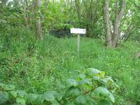 Wanderung von der Bouley Bay zur Rozel Bay